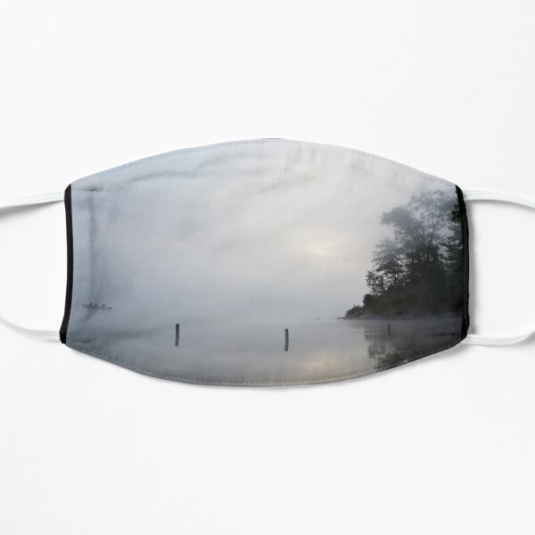 Fishers fog Flat Mask