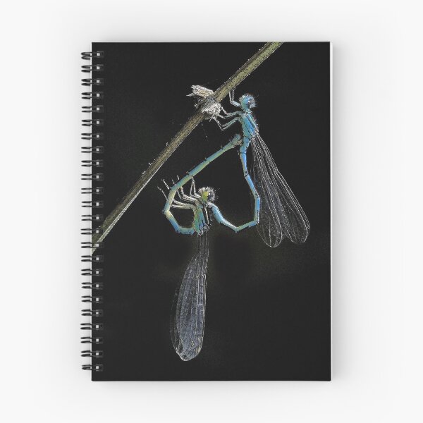 Item preview, 2577/  2  Libellules-Dragonflies " La Beauté dans la pénombre "  finition 2020 par Okaio Créations - Olavia&Olao  designed and sold by o.okaïo.