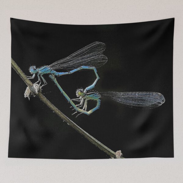 Item preview, 2577/  2  Libellules-Dragonflies " La Beauté dans la pénombre "  finition 2020 par Okaio Créations - Olavia&Olao  designed and sold by o.okaïo.