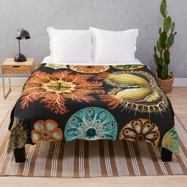 Item preview, Ernst Haeckel Sea Squirts Illustration, 1904 designed and sold by Vintage Wall Art.