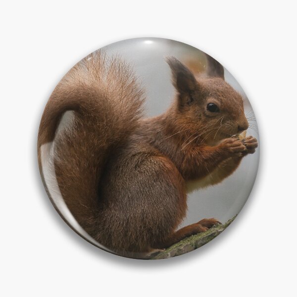 Item preview, Red Squirrel eating a nut. designed and sold by RobinDHunter.