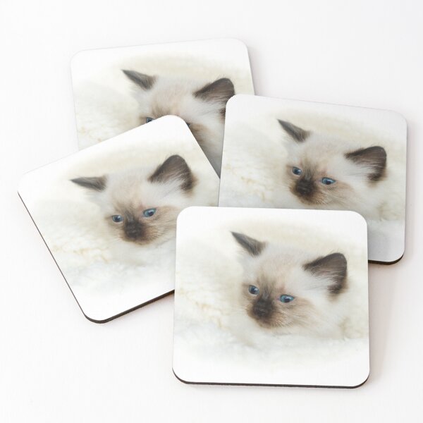Item preview, Toffee the Ragdoll Kitten designed and sold by Jane Stanley Photography.