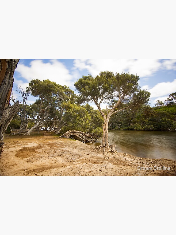 Chapman River, Kangaroo Island, South Australia by silvtom