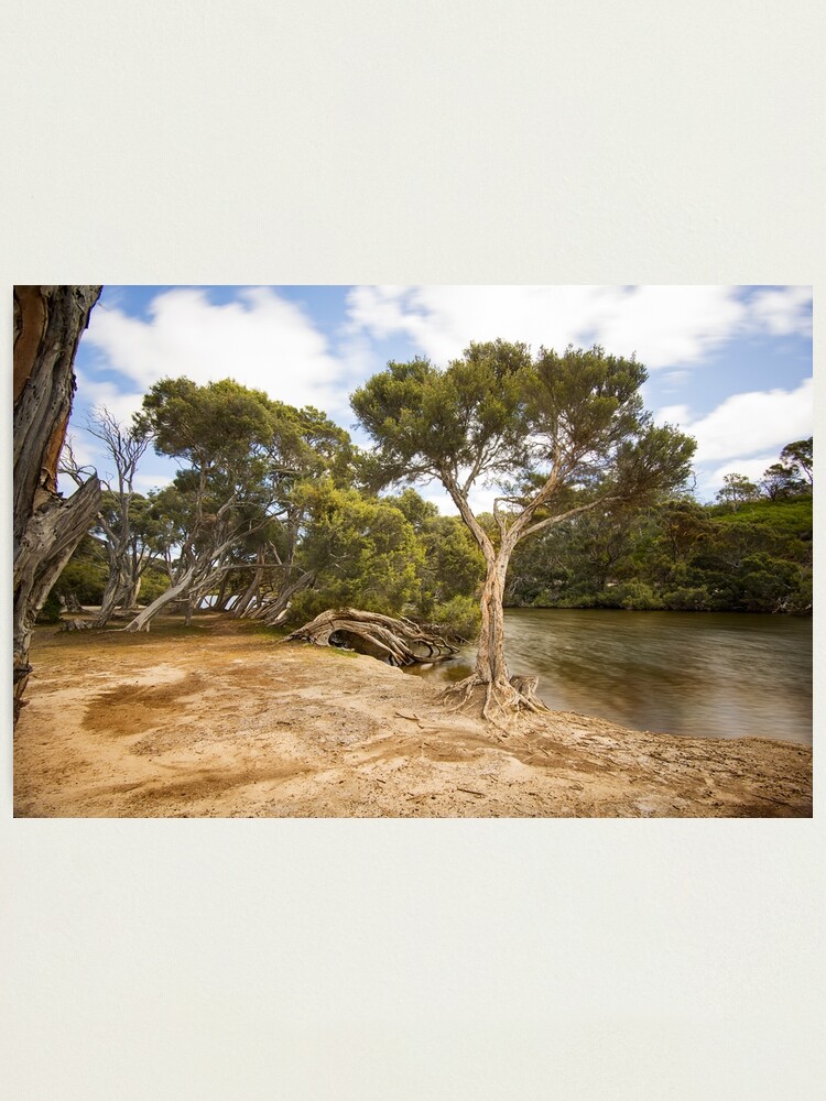 Alternate view of Chapman River, Kangaroo Island, South Australia Photographic Print