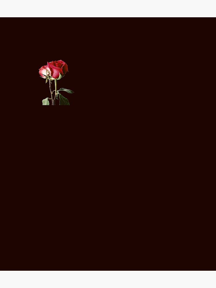 Wrongdoing Magazine Real Rose Collection by PalacesP