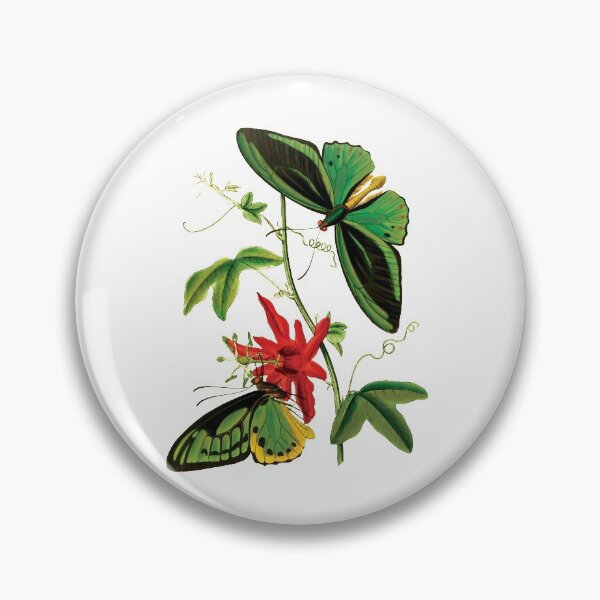 Item preview, Troides alexandrae designed and sold by FredV.