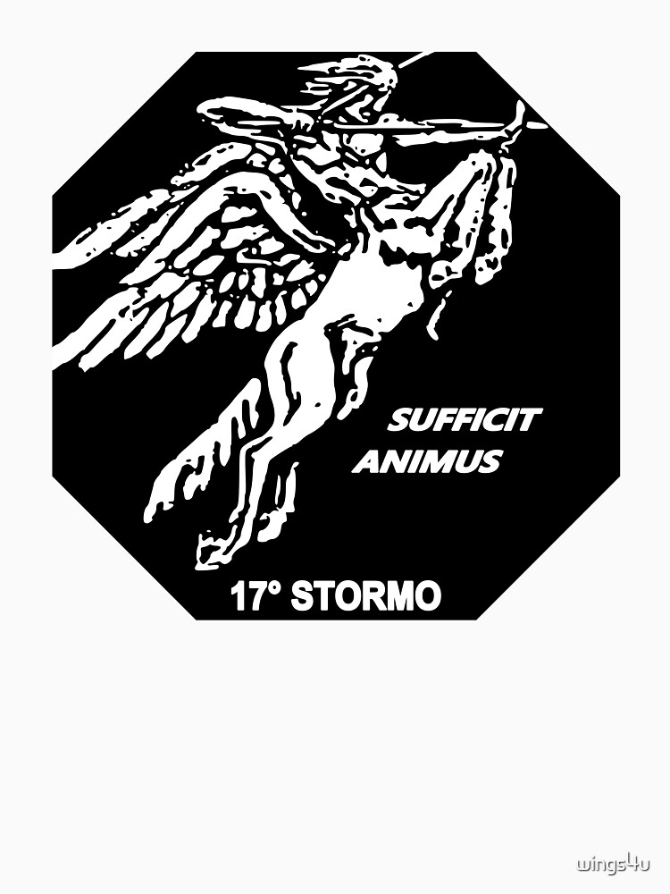 Model 140 - Ensign 17º Stormo by wings4u