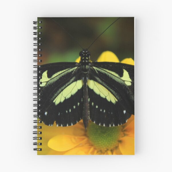 Item preview, Black and Yellow Butterfly on a Flower designed and sold by rhamm.