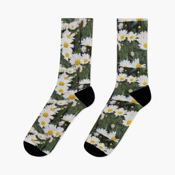 Item preview, daisy spring summer flower bright background  designed and sold by cheekylorns.