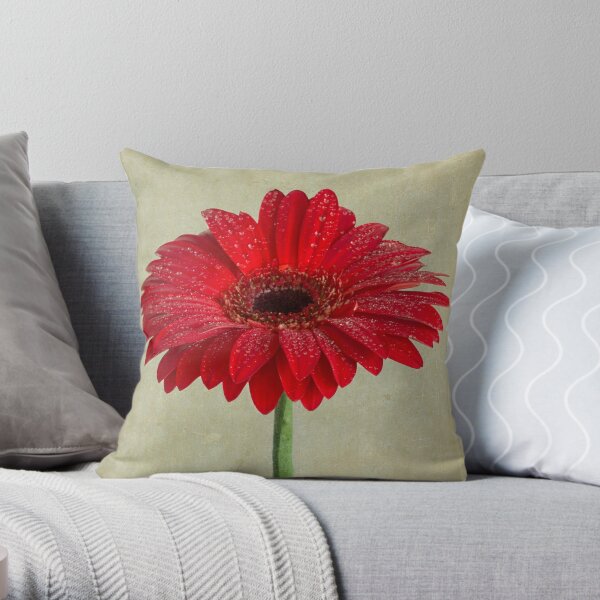 Ode To A Gerbera Daisy Throw Pillow