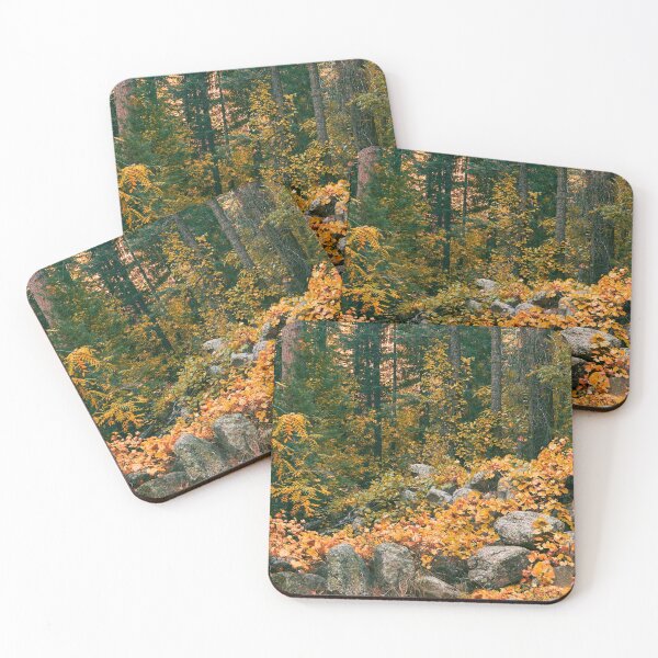 Item preview, Lost in the Forest designed and sold by BGSPhoto.