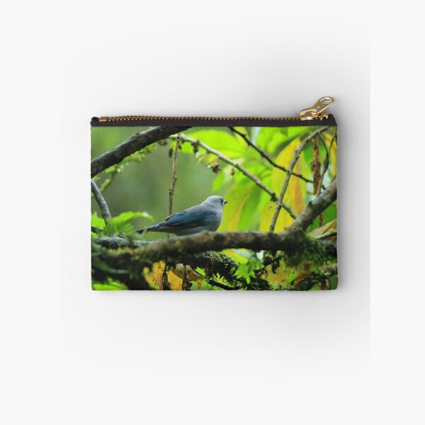 Item preview, Blue Gray Tanager on a Branch designed and sold by rhamm.