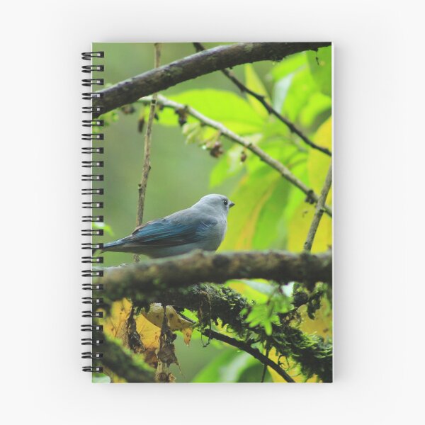 Item preview, Blue Gray Tanager on a Branch designed and sold by rhamm.