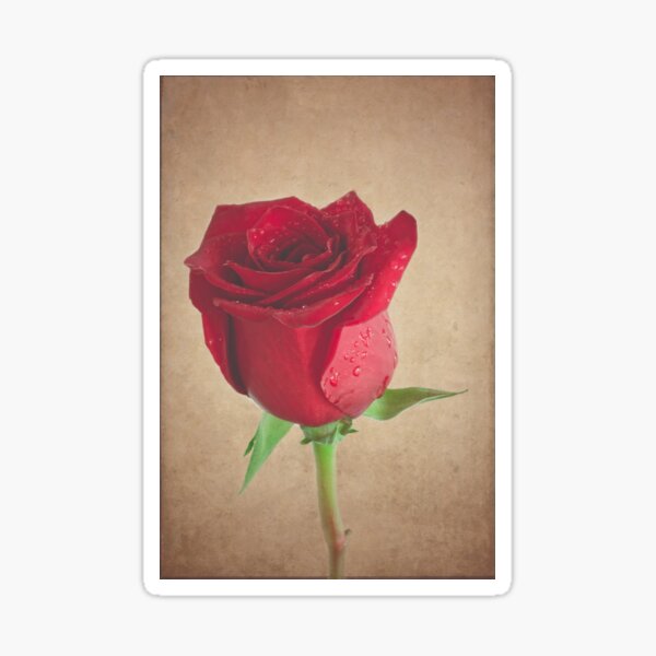 Be My Valentine - Matte Finsih Sticker