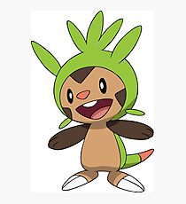 Chespin Normal Photographic Print