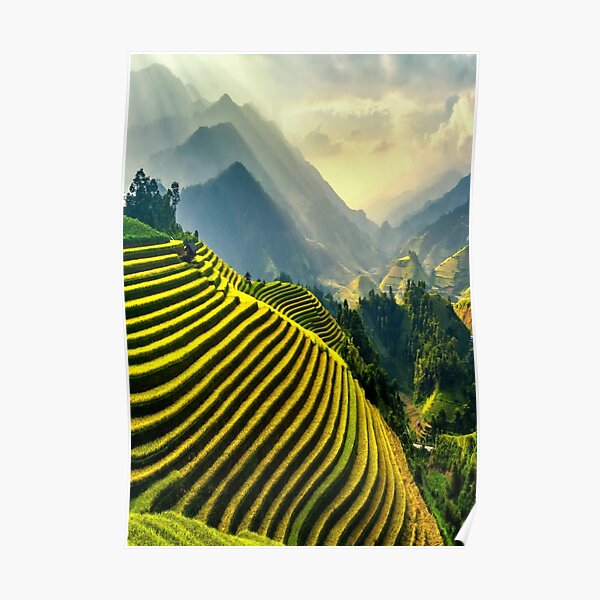 Vietnamese Farmland Poster