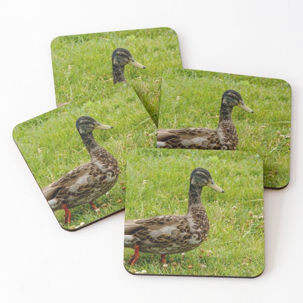 Item preview, Mallard Duck designed and sold by Ruth Curtis.