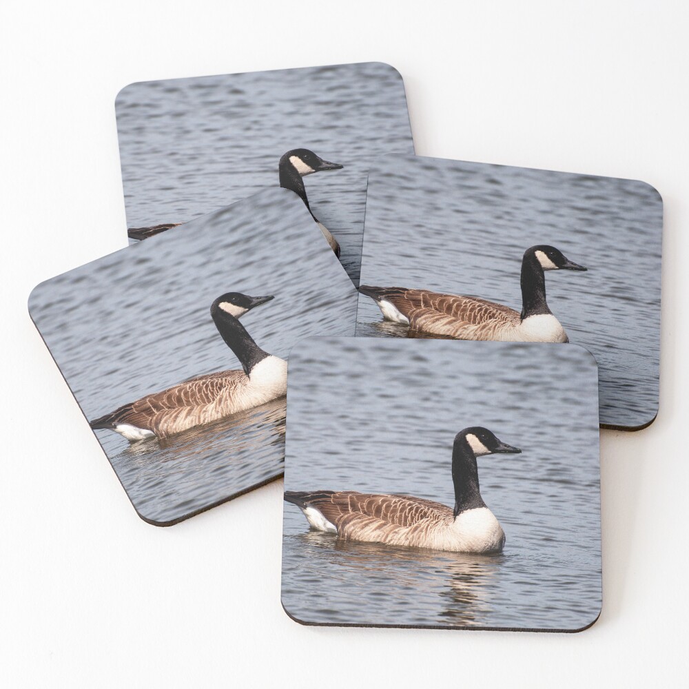 Item preview, Coasters (Set of 4) designed and sold by Ruthie33.