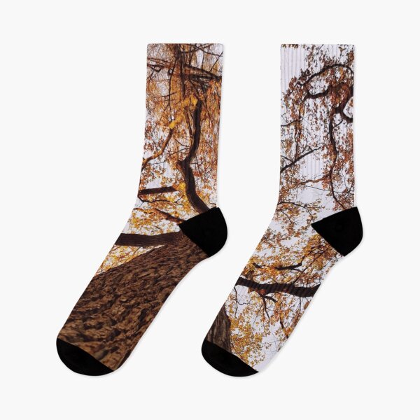Item preview, Autumn Colours designed and sold by NiaStore.