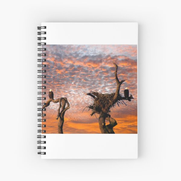 TWO BALD EAGLES Spiral Notebook