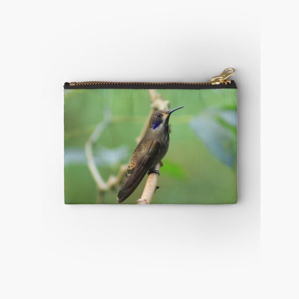 Item preview, Brown Hummingbird on a Perch designed and sold by rhamm.