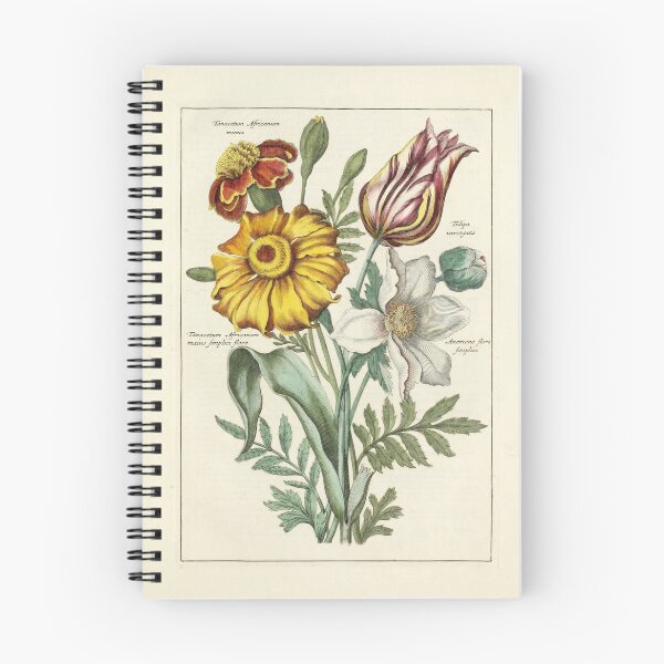 Item preview, Vintage Botanical Print from Nederlandsch bloemwerk (Dutch flower arrangements) (1794) designed and sold by Douglas E. Welch Design and Photography.