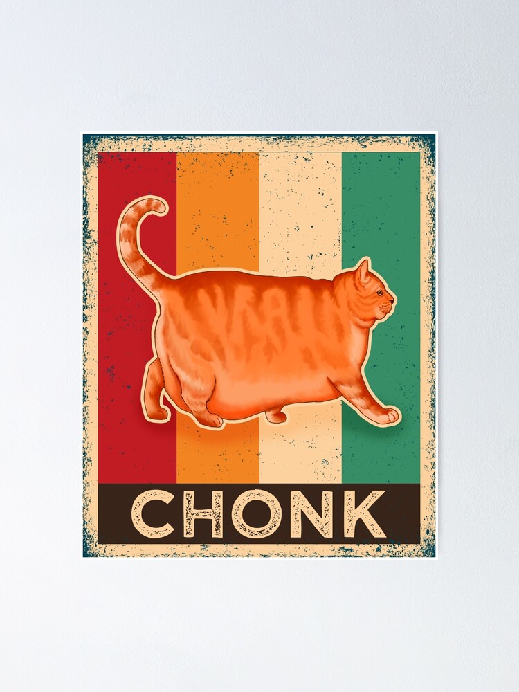 Big best sale chonk cat