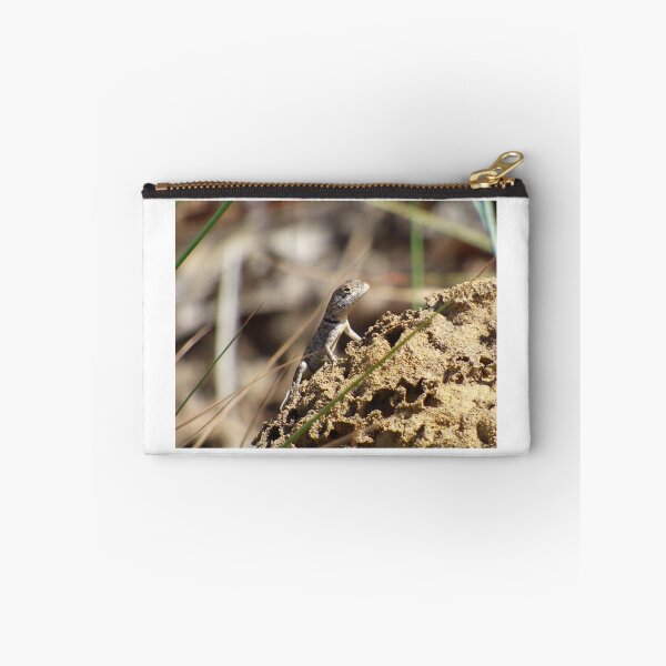 Item preview, Peters' Lava Lizard (Tropidurus hispidus) designed and sold by Zoologe.
