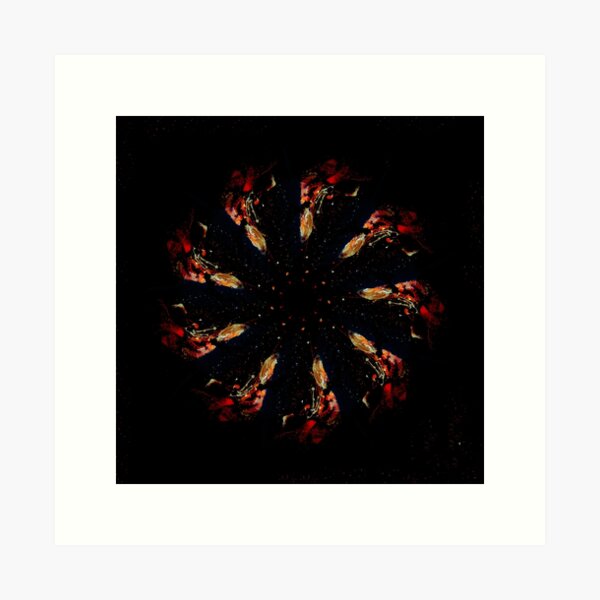 Item preview, STP Screen Transfer Process - 681 - WDVMM - 1041 - Sporulation Mandala 1 03 designed and sold by WetdryvacRB01.