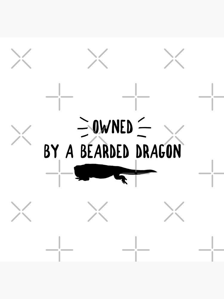 Owned By A Bearded Dragon by snibbo71