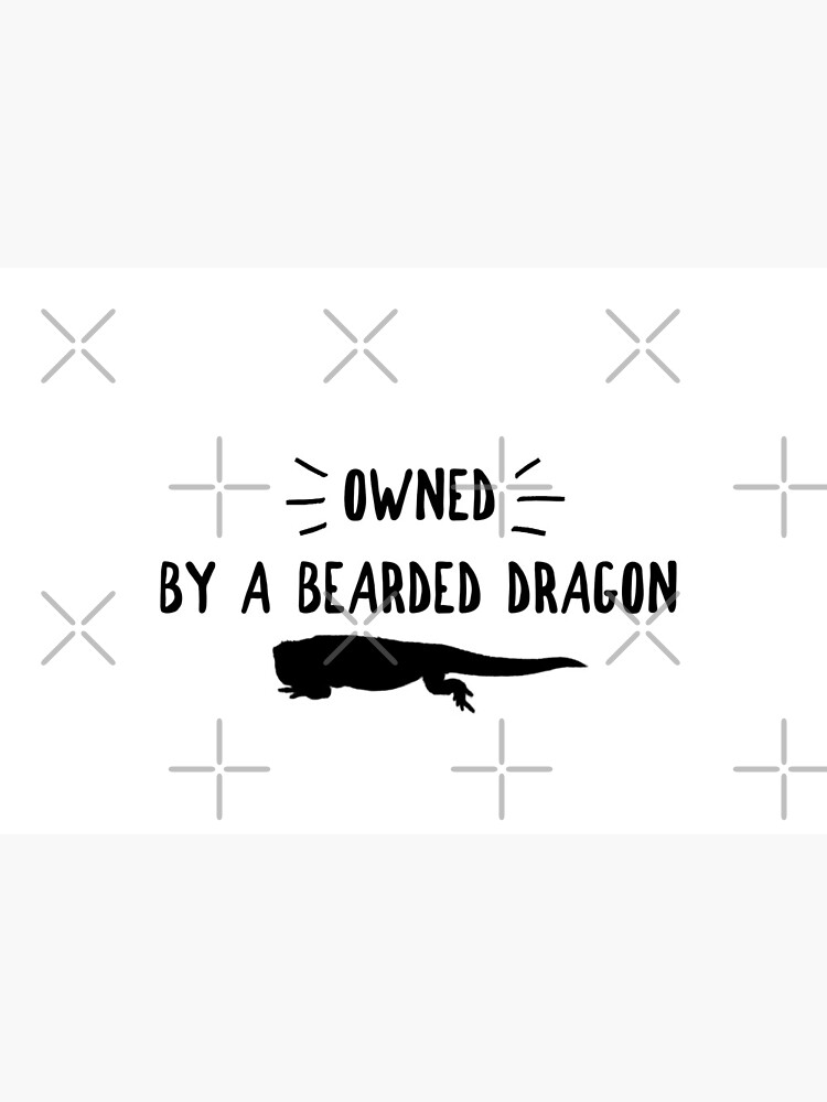 Owned By A Bearded Dragon by snibbo71