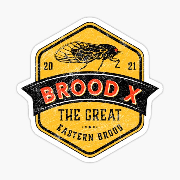 Cicadas Brood X The Great Eastern Brood Sticker