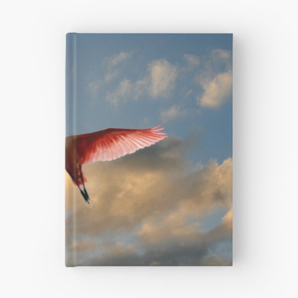 Item preview, SPOONBILL IN FLIGHT designed and sold by TomBaumker.