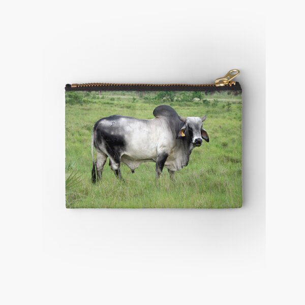 Item preview, BRAHMAN BULL designed and sold by TomBaumker.