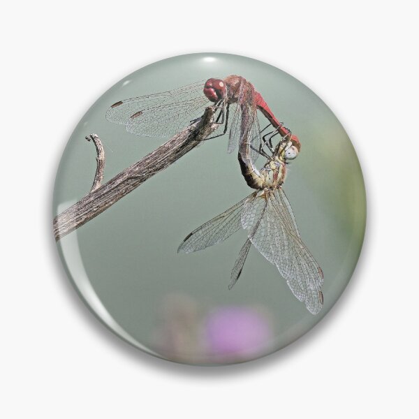 Item preview, 2578/  3  Libellules-Dragonflies " l'Equilibre Amoureux "  finition 2020 par Okaio Créations - Olavia&Olao  designed and sold by o.okaïo.