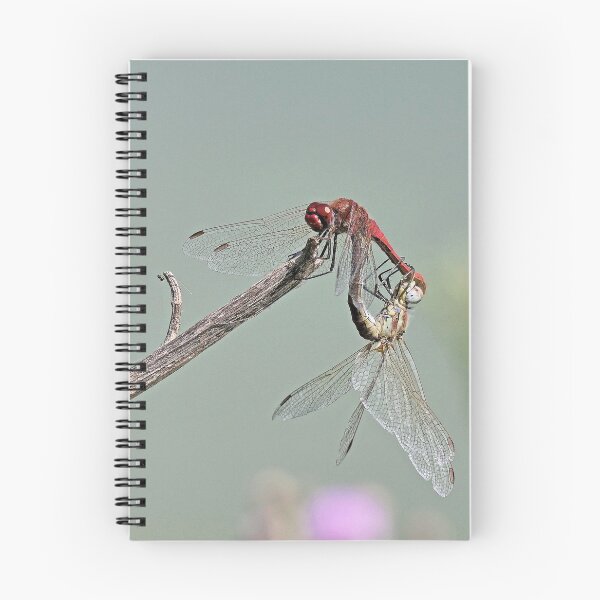 Item preview, 2578/  3  Libellules-Dragonflies " l'Equilibre Amoureux "  finition 2020 par Okaio Créations - Olavia&Olao  designed and sold by o.okaïo.