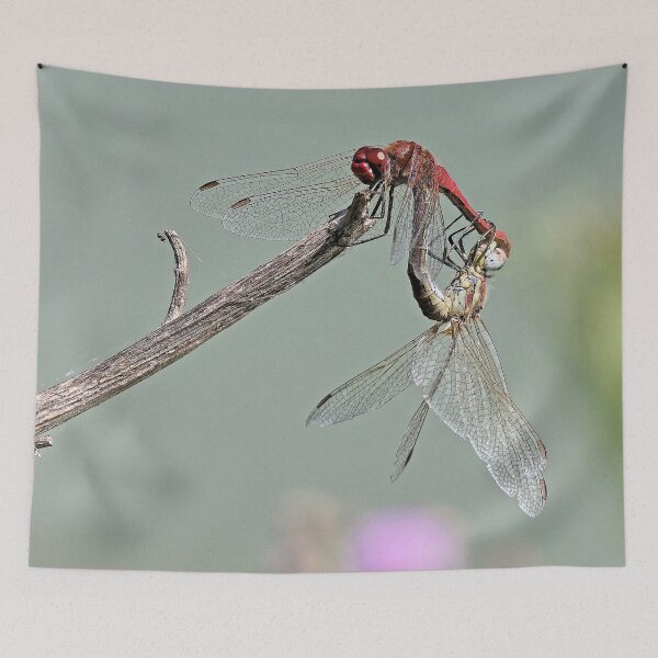 Item preview, 2578/  3  Libellules-Dragonflies " l'Equilibre Amoureux "  finition 2020 par Okaio Créations - Olavia&Olao  designed and sold by o.okaïo.