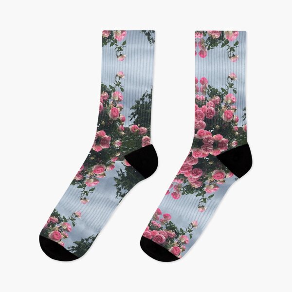 Item preview, Roses - Pierre de Paradis IV, RTBG, nipaluna designed and sold by RoseAromas.