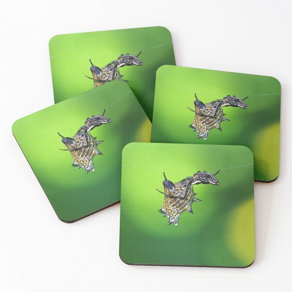 Item preview, Spined Micrathena (Micrathena gracilis) designed and sold by Zoologe.