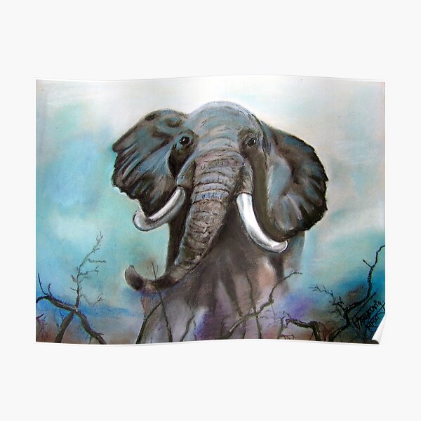 Elefante Póster