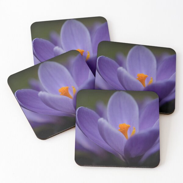 Item preview, Violet Crocus Flower designed and sold by Roland Pokrywka.