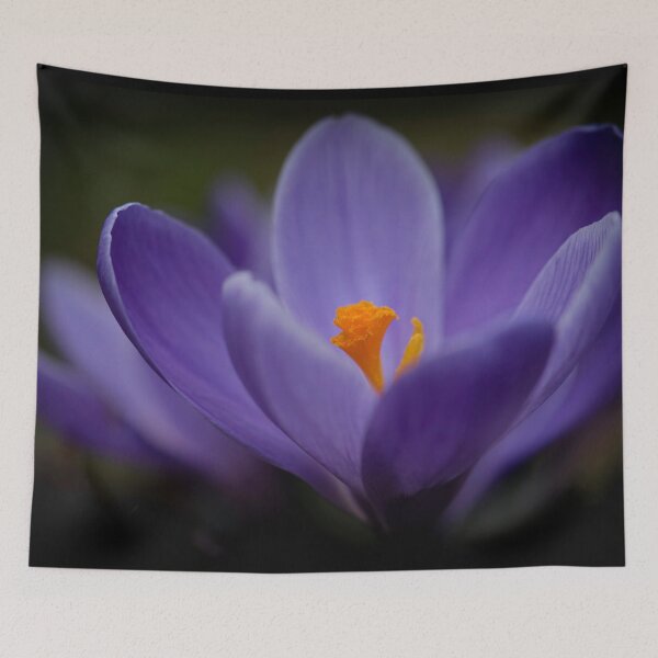 Item preview, Violet Crocus Flower designed and sold by Roland Pokrywka.