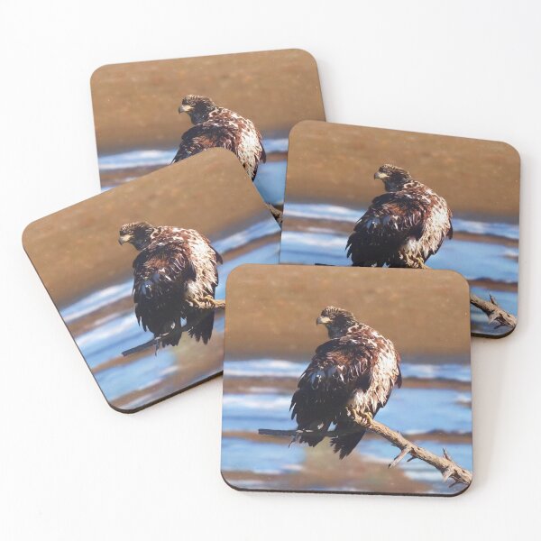 Item preview, Eagle by the rivert designed and sold by Guardi71.