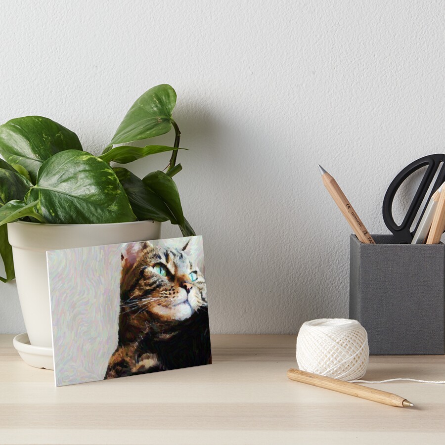 Tabby Cat Photography Digital Art Art Board Print