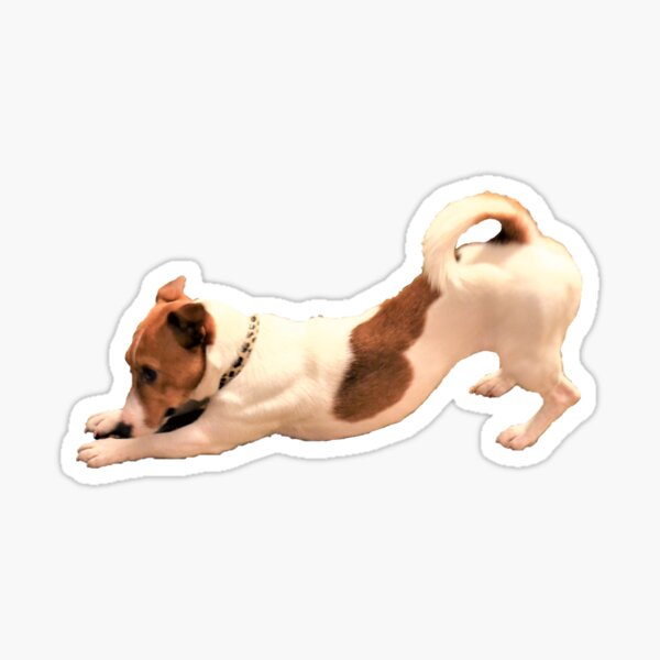 Item preview, Jack russell terrier designed and sold by C.T. Photography.