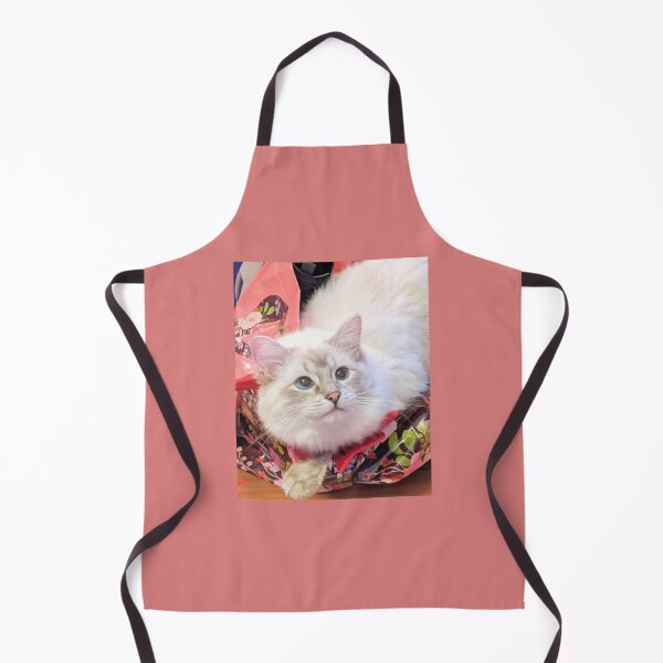 Artikelvorschau, Ragdoll Katzenkönigin Saoirse Ragdoll entworfen und verkauft von Fluffycat2020.