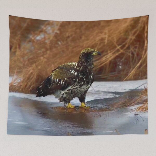 Item preview, Eagle by the river 2 designed and sold by Guardi71.