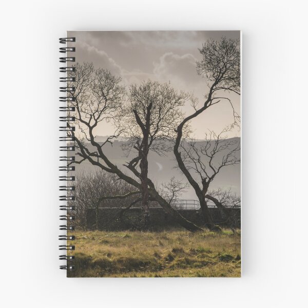 Item preview, Silhouette of trees at Penwyllt designed and sold by Leighton Collins.