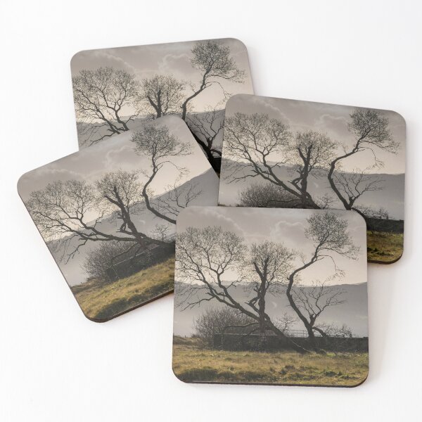Item preview, Silhouette of trees at Penwyllt designed and sold by Leighton Collins.