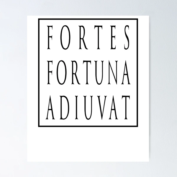 Fortes Fortuna Adiuvat - Fortune Favors The Bold - Powerful Motto - Latin  Motto Hardcover Journal for Sale by RKasper